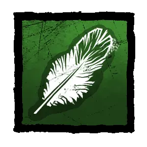 Starling Feather