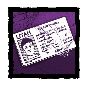 Driver's License