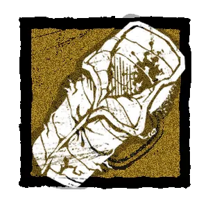 Sleeping Bag